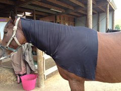 Titan Horse Neck Compression Sleeve